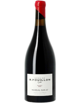Coteaux Champenois Mareuil sur Aÿ 2022 - Paunet