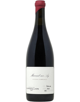 Coteaux Champenois Mareuil sur Aÿ 2023