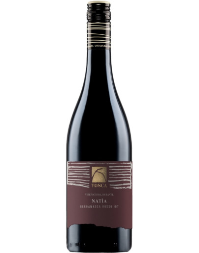 Merera Igt 2024 - Natia