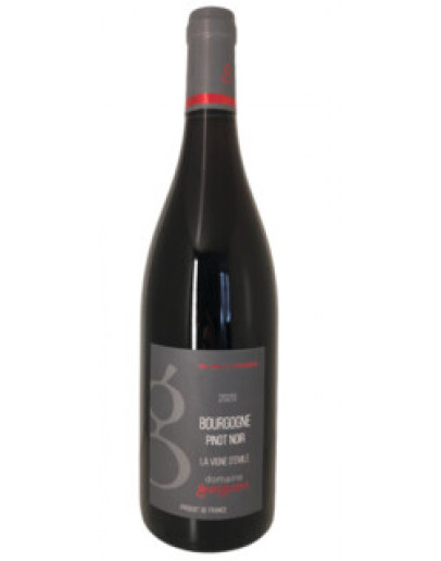 6 Bourgogne Pinot Noir La Vigne d' Emile 2020