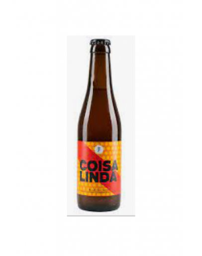 24 Birra Beer Project Coisa Linda Exotic Sour 0,33 l