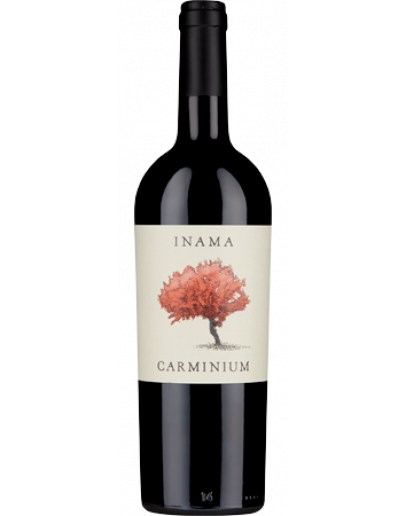 Carmenere doc 2018 - Carminium