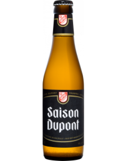  24 Birra Dupont Saison
