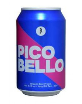 12 Birra Beer Project Pico Bello Hazy Ipa Analcolica Lattina