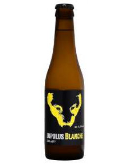 24 Birra Lupulus Blanche 0,33 l