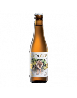 24 Birra Lupulus Blonde 0,33 l