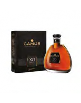 Camus XO Elegance - mit dem Koffer