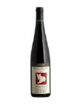 Pinot Noir - Alsace aop