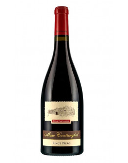Pinot Nero doc 2021 Magum - Vigna Cantanghel in cassa di legno