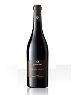 Pinot Nero Sicilia igt 2007