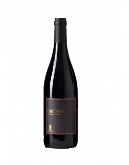6 Pinot nero Alto Adige doc 2013