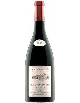 6 Vigna Cantanghel Pinot Nero 2020